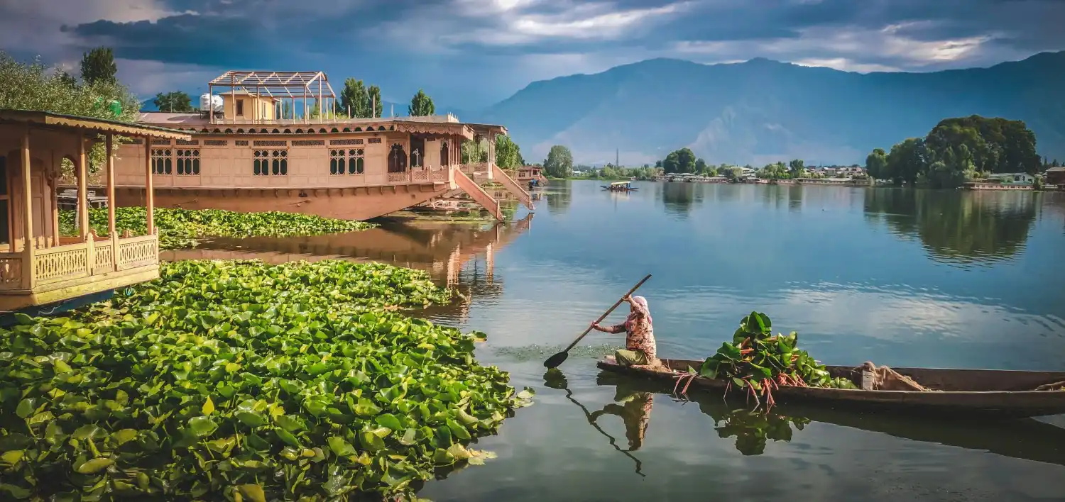Tirthan valley view